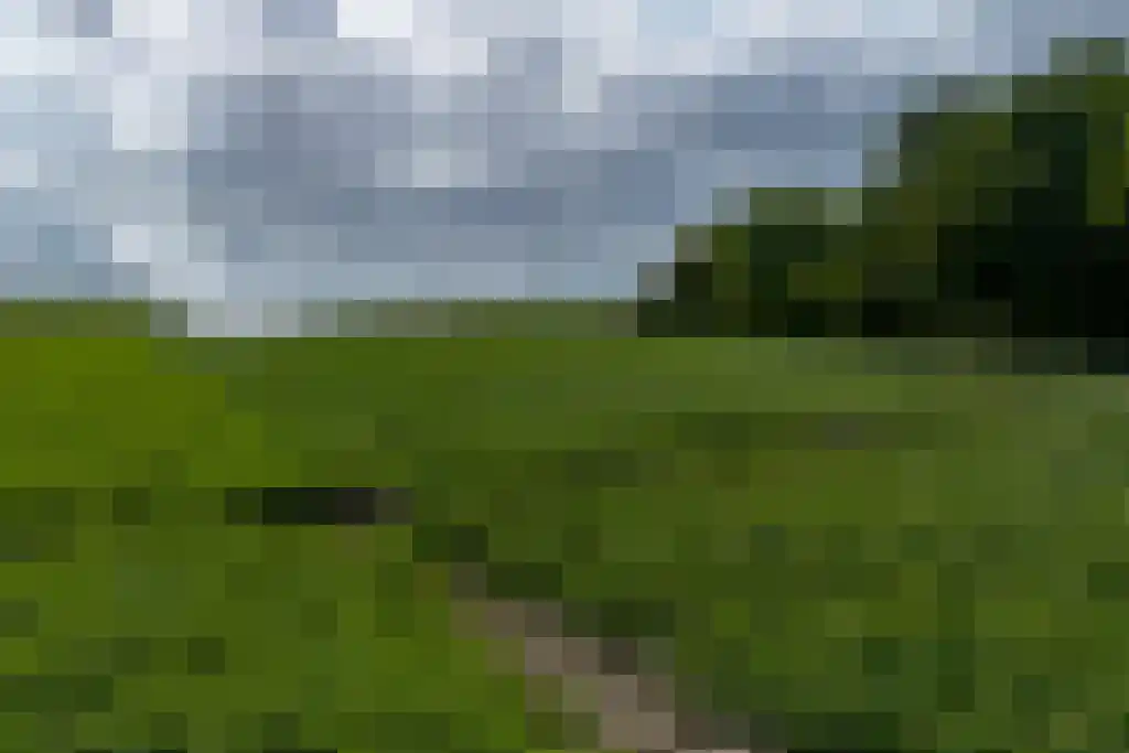 Grootmoedersdijk 1 Kuitaart thumbnail 36