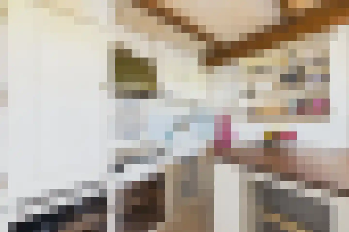 Grootmoedersdijk 1 Kuitaart thumbnail 5