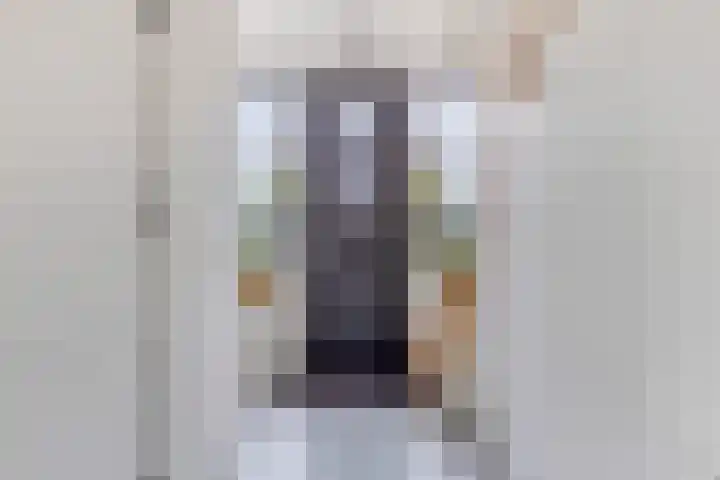 Grootoort 2 Broek op Langedijk thumbnail 11