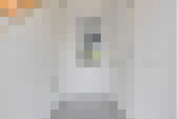 Grootoort 2 Broek op Langedijk thumbnail 12