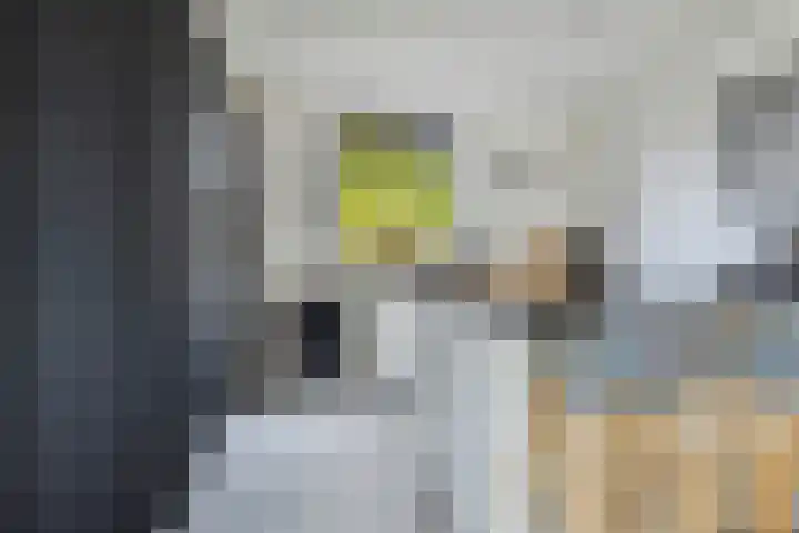 Grootoort 2 Broek op Langedijk thumbnail 17