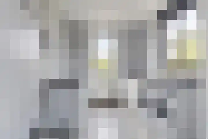 Grootoort 2 Broek op Langedijk thumbnail 20