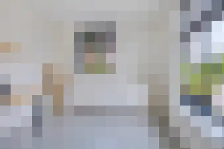 Grootoort 2 Broek op Langedijk thumbnail 22