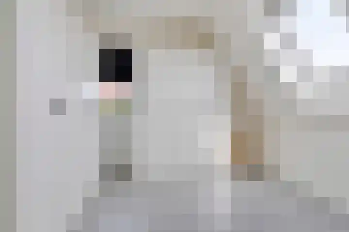 Grootoort 2 Broek op Langedijk thumbnail 29