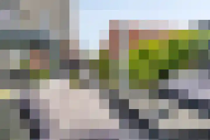 Grootoort 2 Broek op Langedijk thumbnail 47