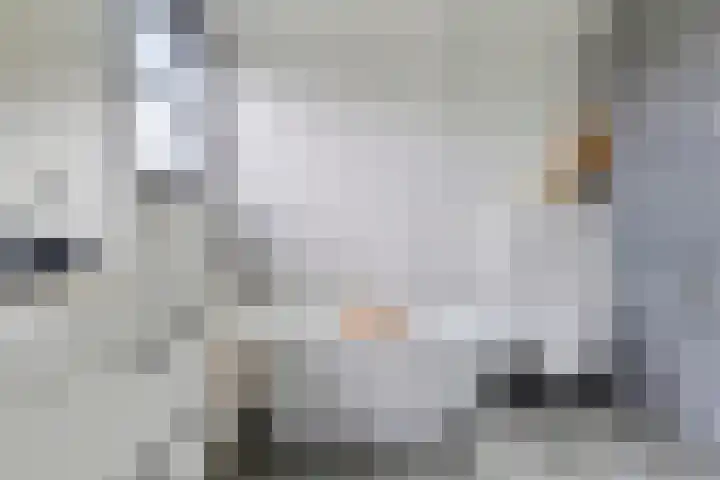 Grootoort 2 Broek op Langedijk thumbnail 6