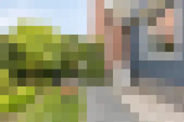 Grootoort 2 Broek op Langedijk thumbnail 62