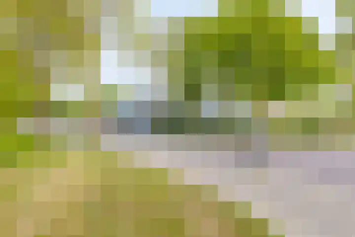 Grootoort 2 Broek op Langedijk thumbnail 64