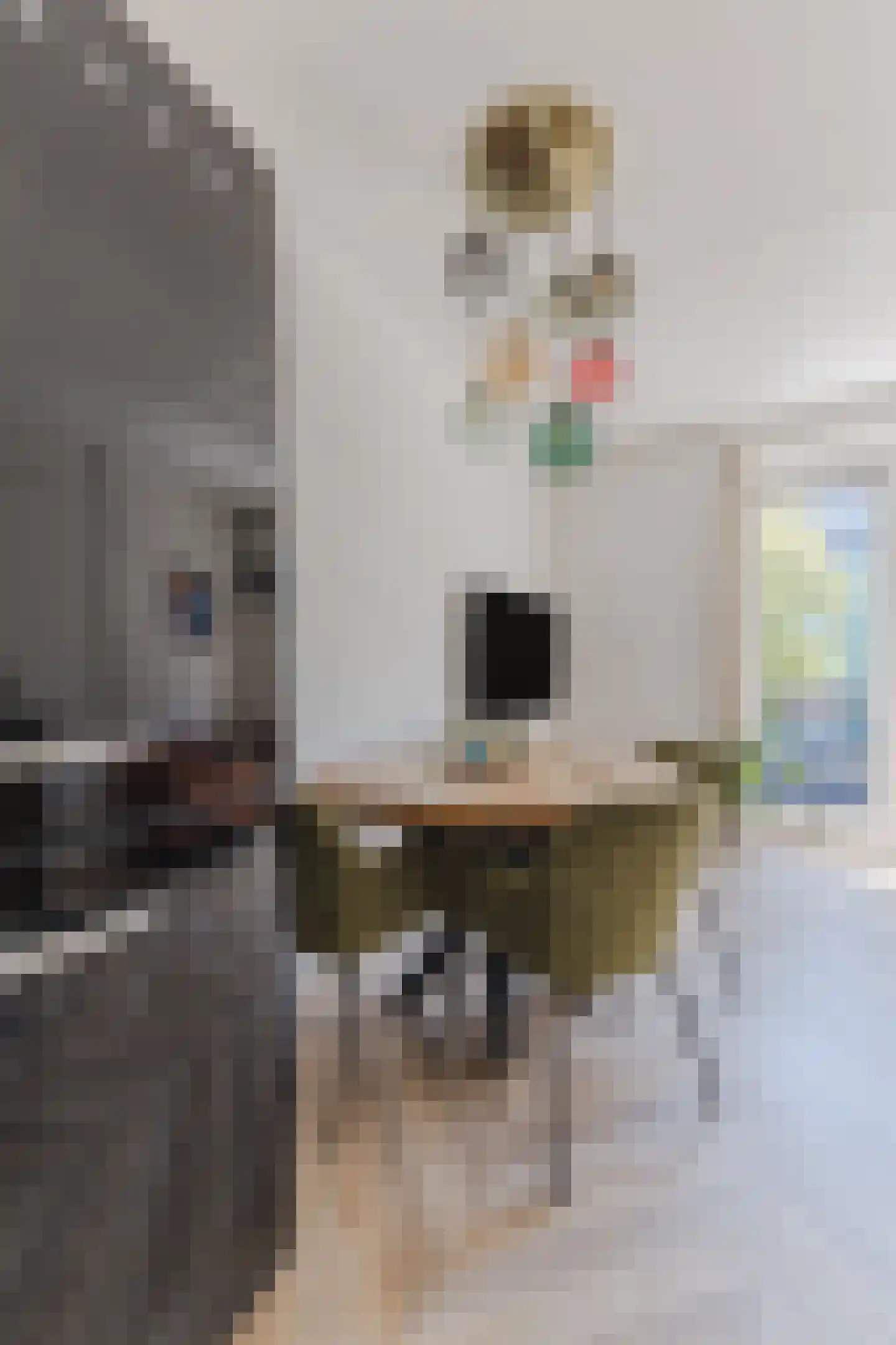 Grootscheepmakersstraat 1 A 12 Zaandam thumbnail 22