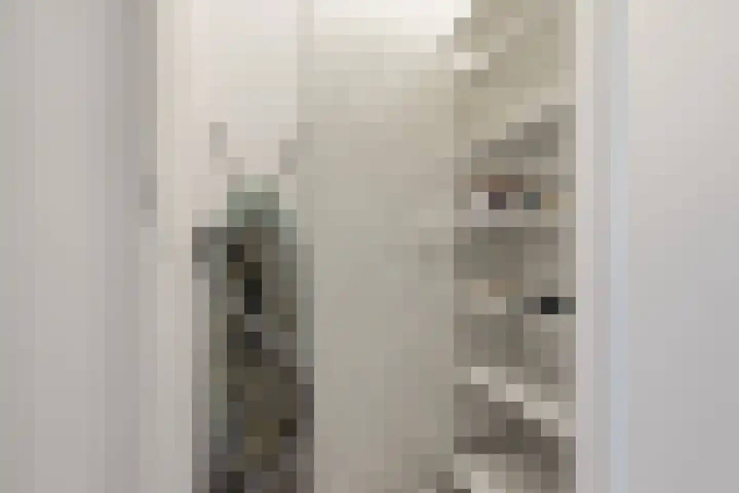 Grootscheepmakersstraat 1 A 14 Zaandam thumbnail 26