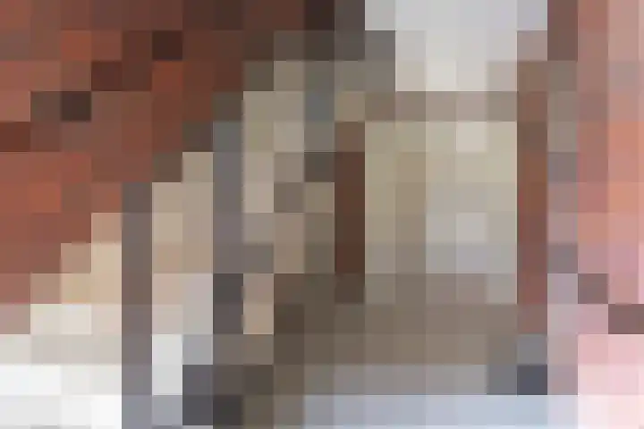 Grootscheepmakersstraat 1 A 22 Zaandam thumbnail 23