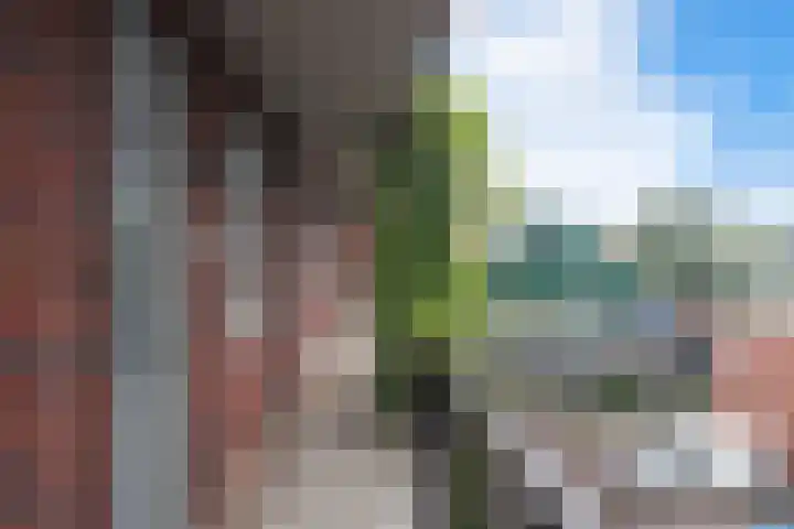 Grootscheepmakersstraat 1 A 22 Zaandam thumbnail 25