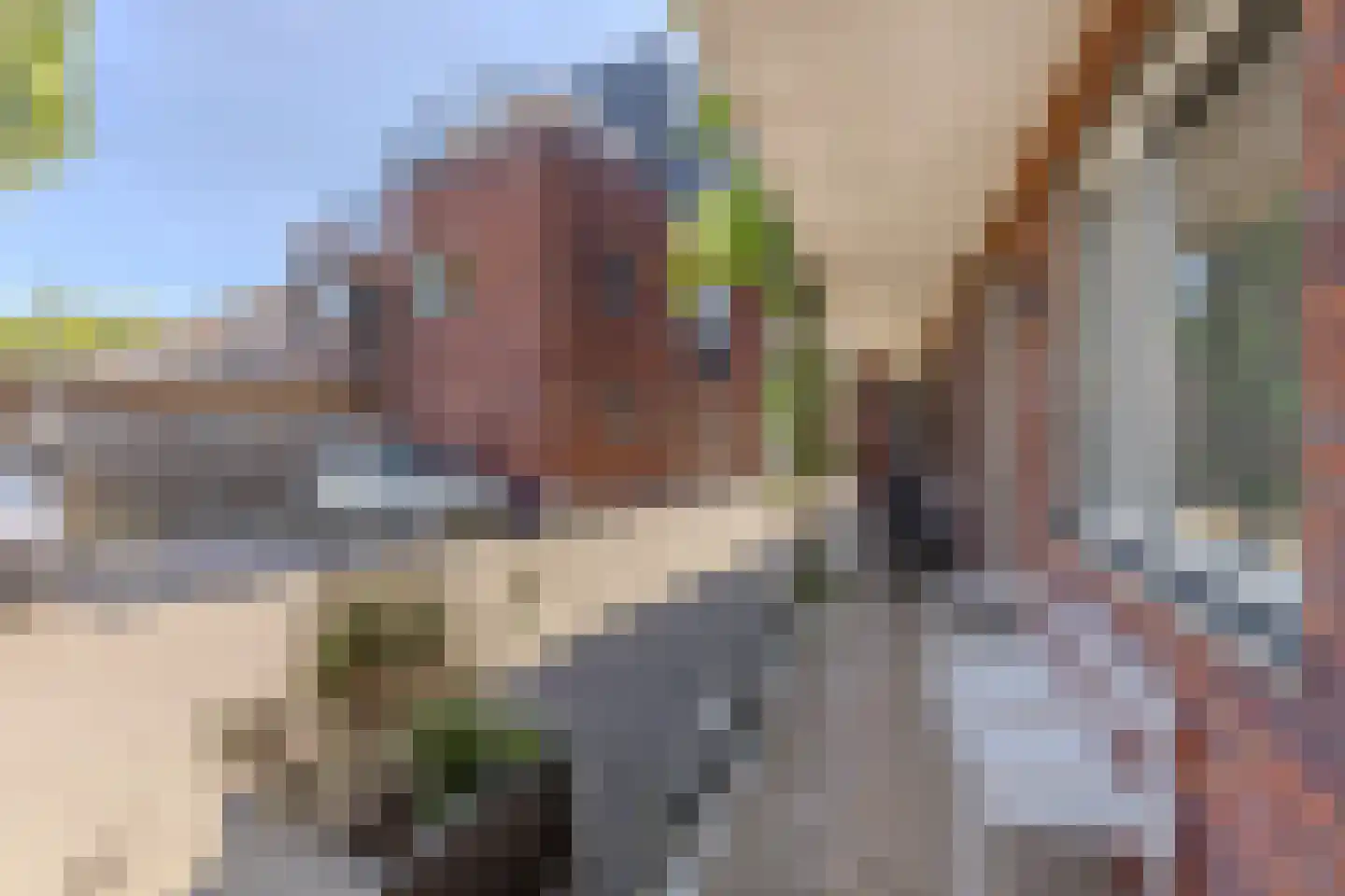 Grootscheepmakersstraat 1 A 3 Zaandam thumbnail 6