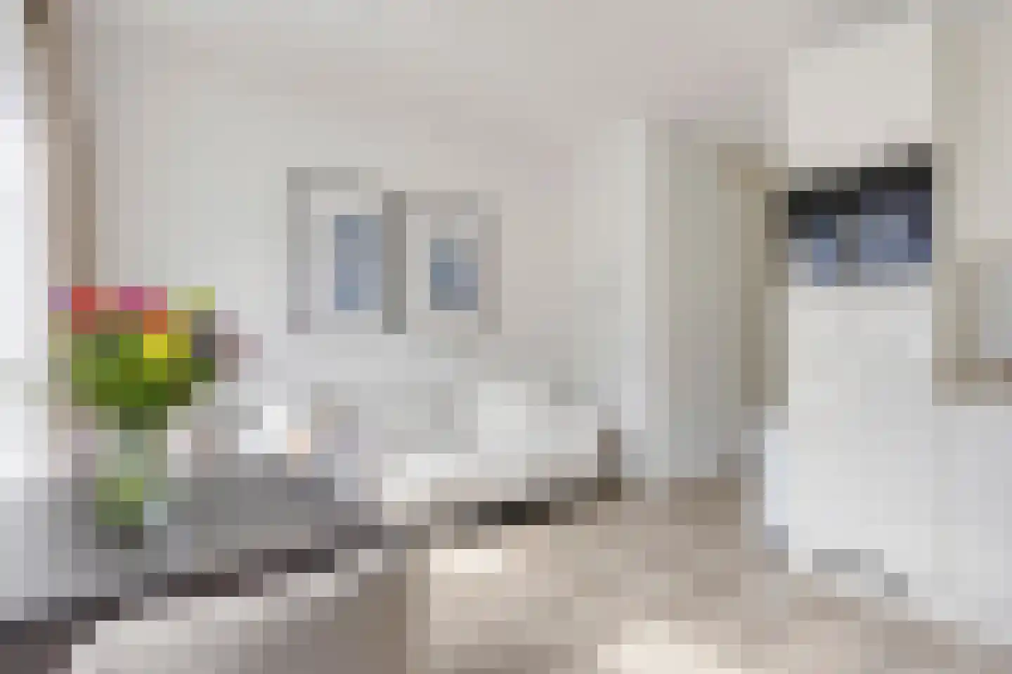 Grootscheepmakersstraat 1 A 6 Zaandam thumbnail 6