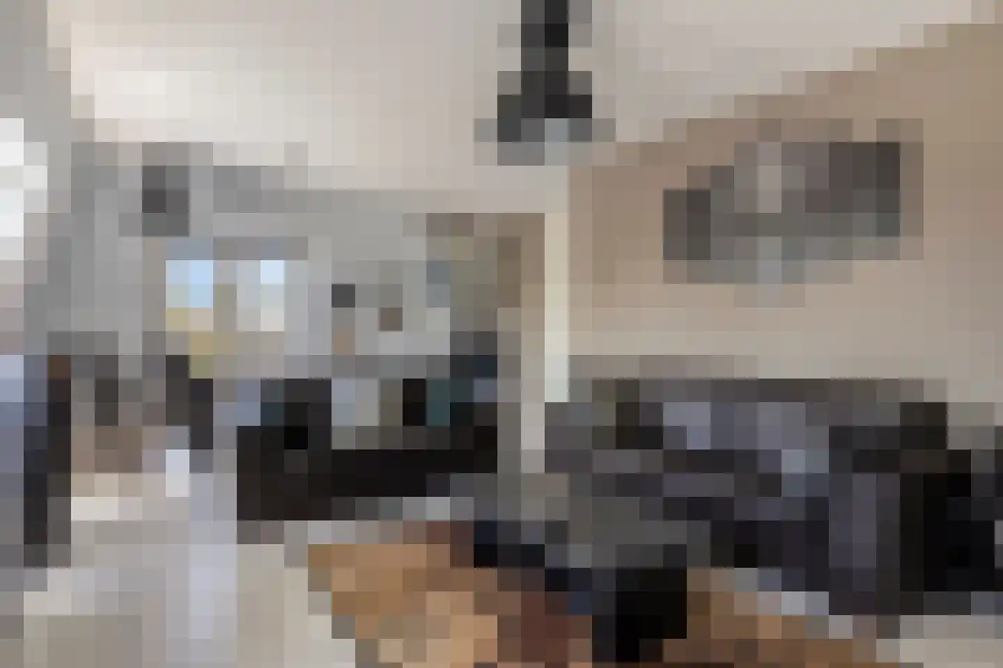Grootschoterweg 113 f Budel-Schoot thumbnail 4