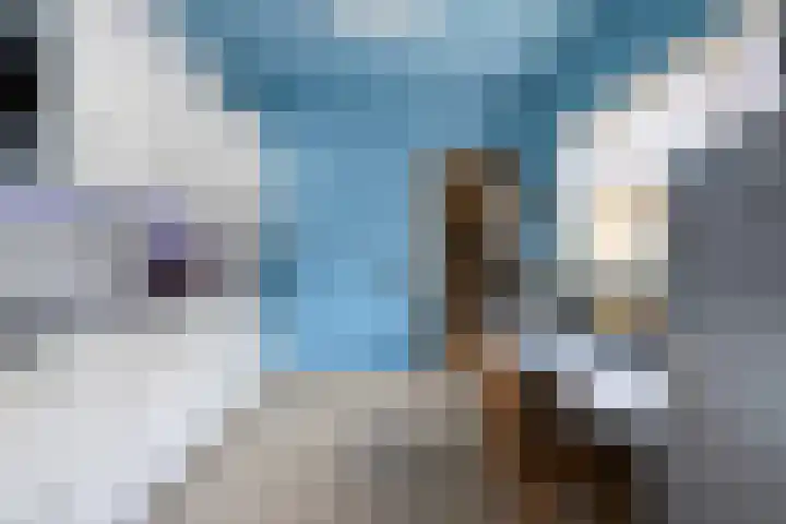 Grootschoterweg 120 Budel-Schoot thumbnail 10