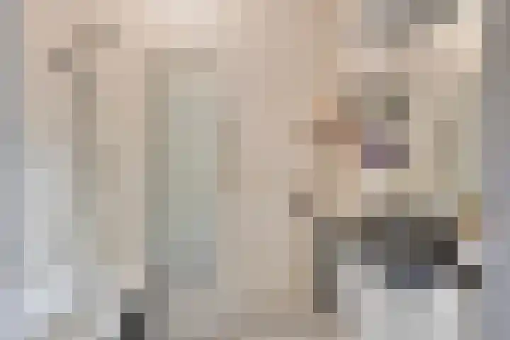Grootschoterweg 120 Budel-Schoot thumbnail 12