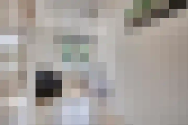 Grootschoterweg 120 Budel-Schoot thumbnail 15