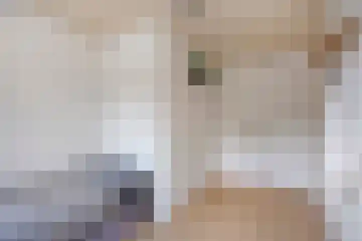 Grootschoterweg 120 Budel-Schoot thumbnail 16