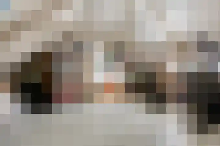 Grootschoterweg 120 Budel-Schoot thumbnail 19