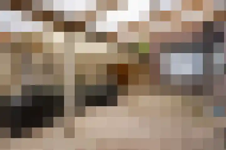 Grootschoterweg 120 Budel-Schoot thumbnail 21