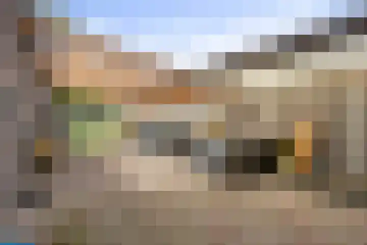 Grootschoterweg 120 Budel-Schoot thumbnail 22