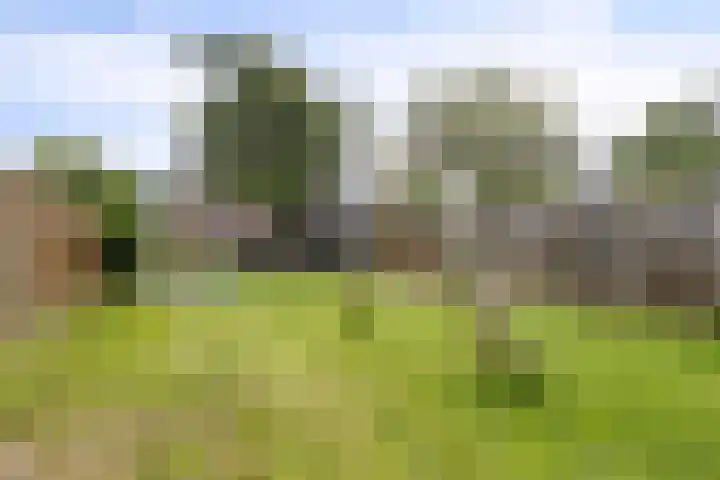 Grootschoterweg 120 Budel-Schoot thumbnail 24