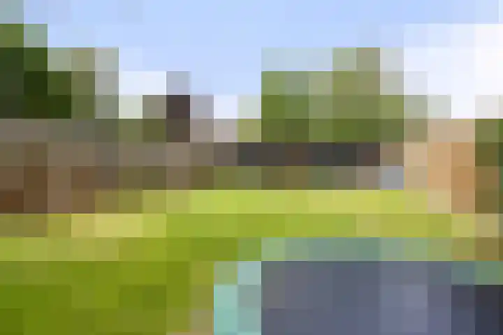Grootschoterweg 120 Budel-Schoot thumbnail 25