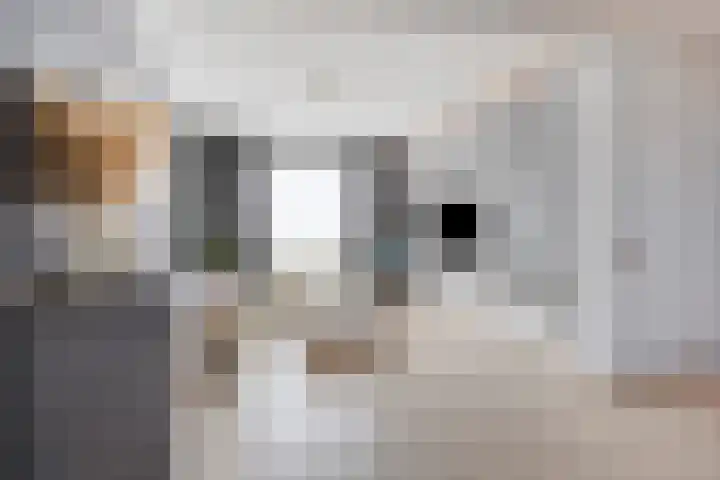 Grootschoterweg 120 Budel-Schoot thumbnail 5