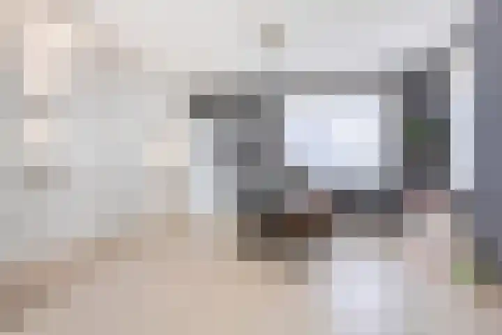 Grootschoterweg 120 Budel-Schoot thumbnail 7