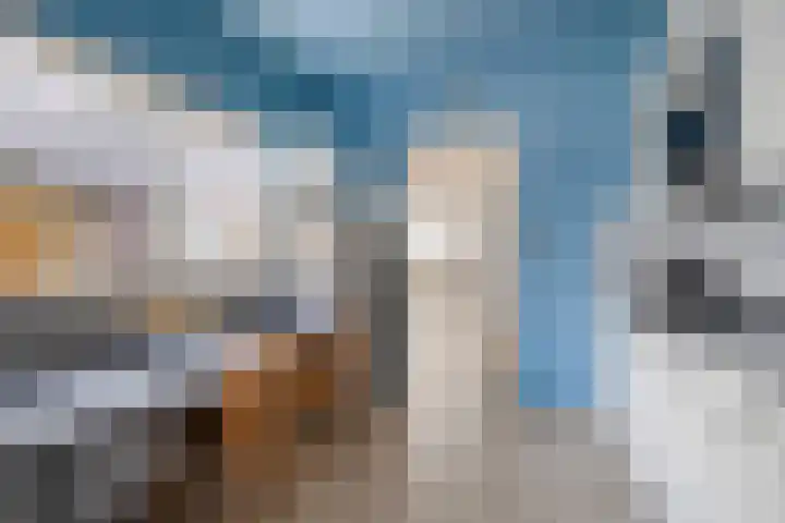 Grootschoterweg 120 Budel-Schoot thumbnail 8