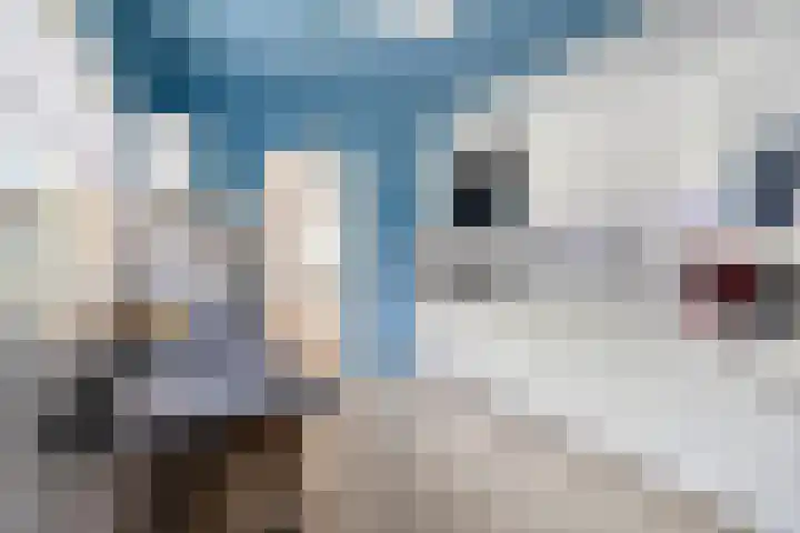 Grootschoterweg 120 Budel-Schoot thumbnail 9