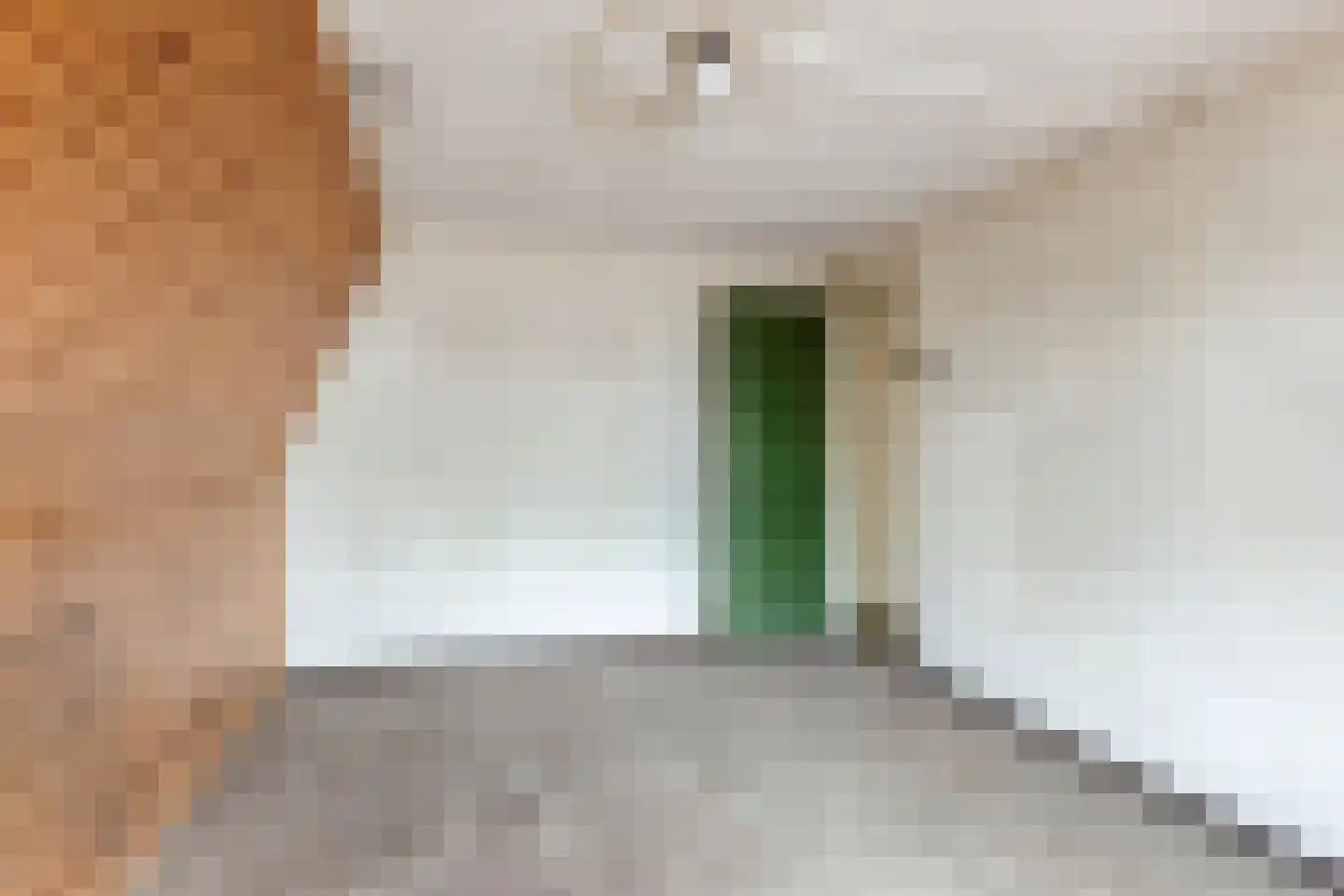Grootschoterweg 130 Budel-Schoot thumbnail 18