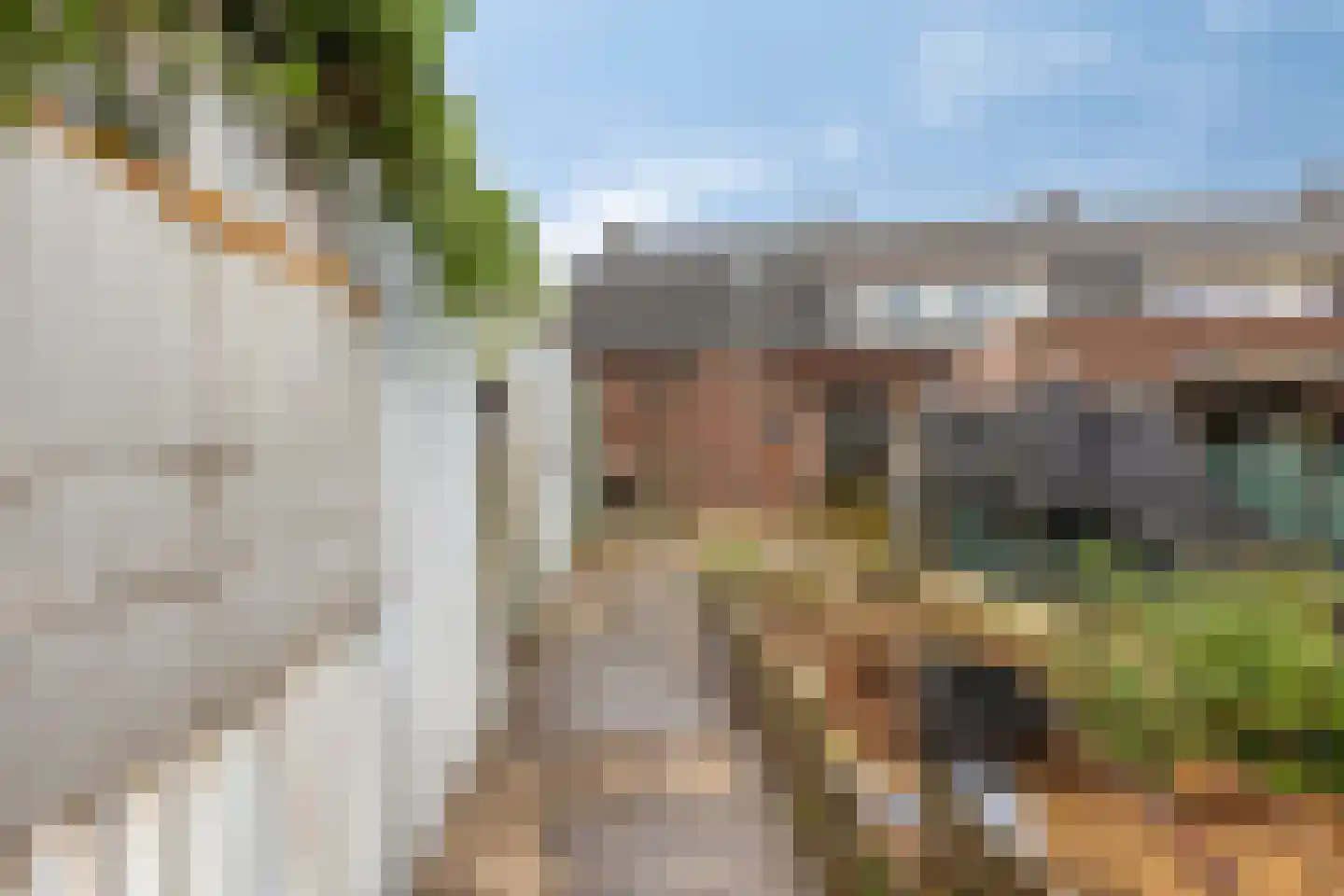 Grootschoterweg 130 Budel-Schoot thumbnail 23