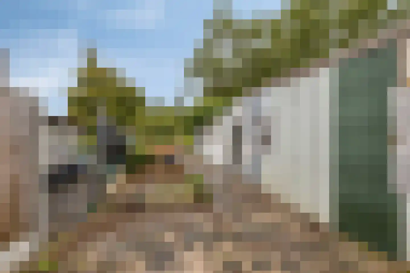Grootschoterweg 130 Budel-Schoot thumbnail 25
