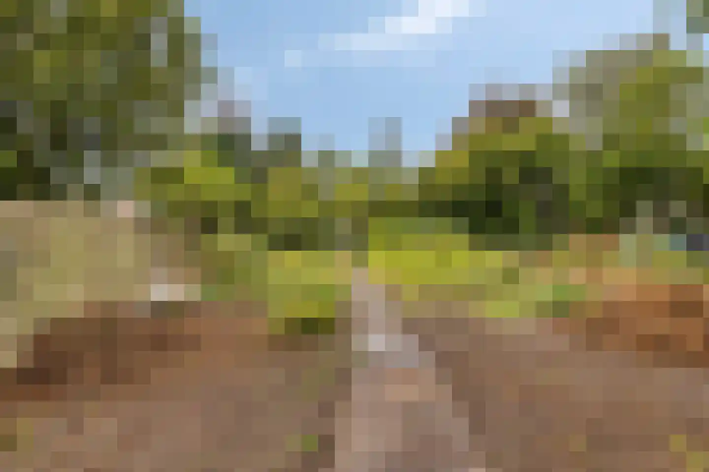 Grootschoterweg 130 Budel-Schoot thumbnail 26