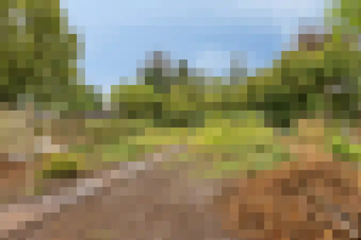 Grootschoterweg 130 Budel-Schoot thumbnail 27