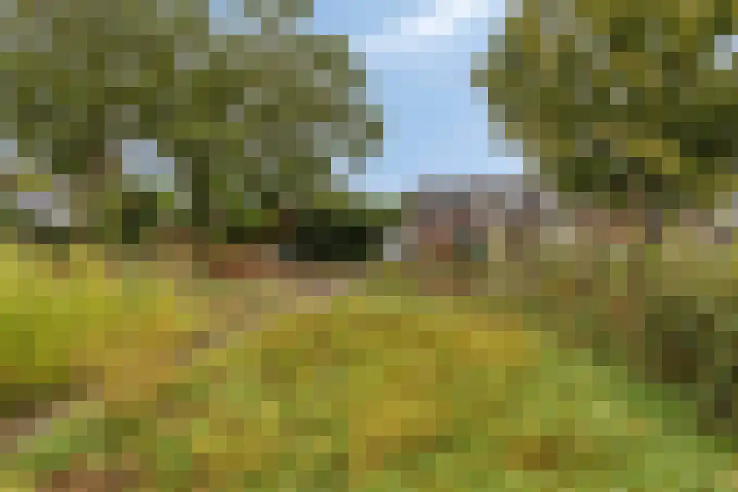 Grootschoterweg 130 Budel-Schoot thumbnail 29