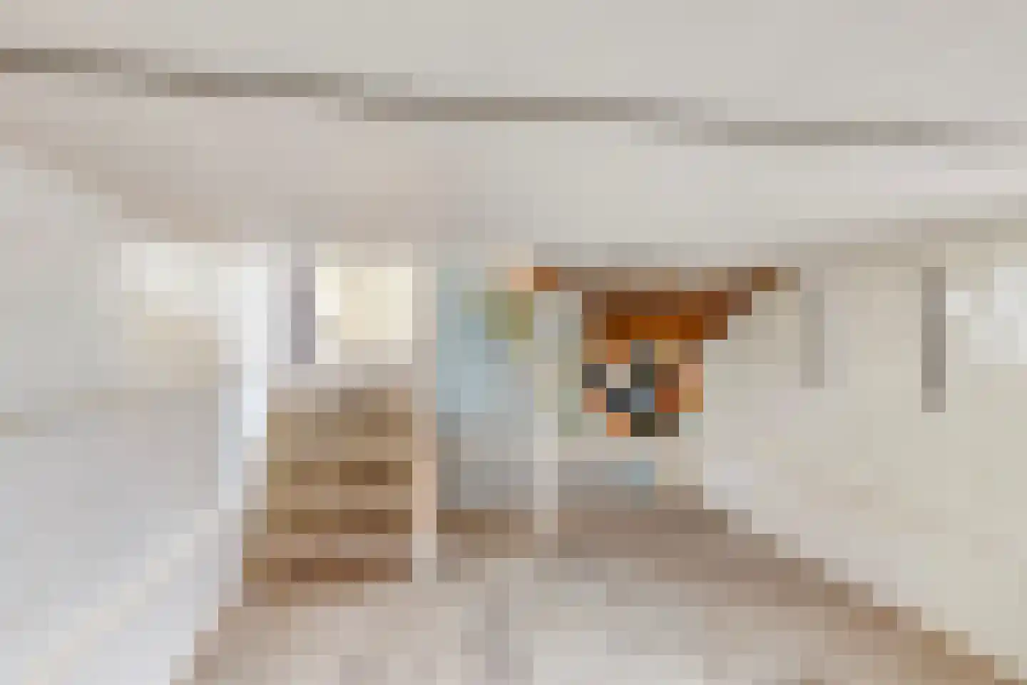 Grootschoterweg 130 Budel-Schoot thumbnail 8