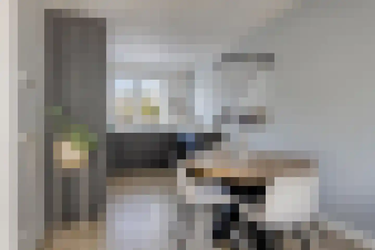 Grootschoterweg 137 Budel-Schoot thumbnail 6