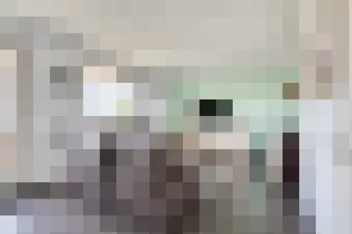 Grootschoterweg 167 Budel-Schoot thumbnail 8