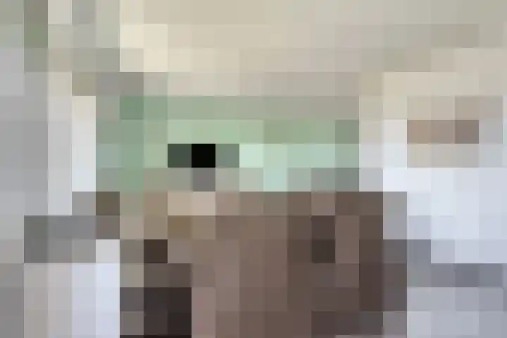 Grootschoterweg 167 Budel-Schoot thumbnail 9