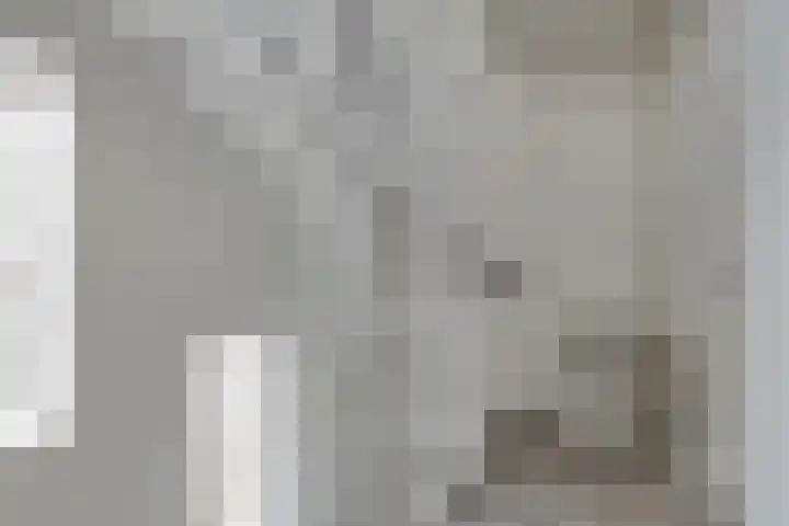 Grootschoterweg 38 Budel-Schoot thumbnail 13