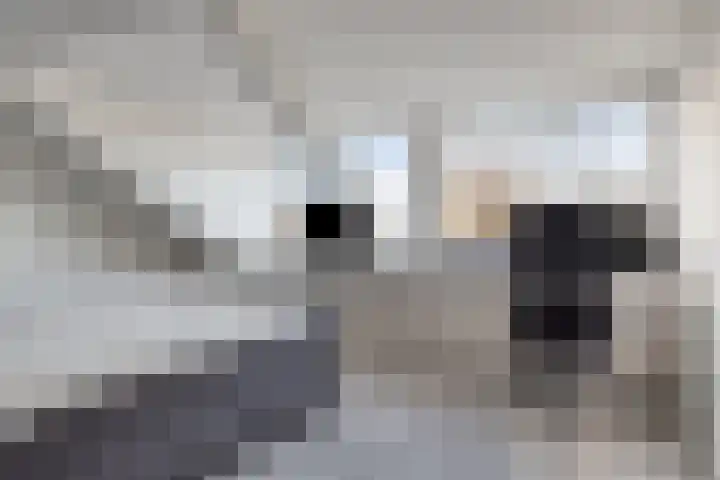 Grootschoterweg 38 Budel-Schoot thumbnail 21
