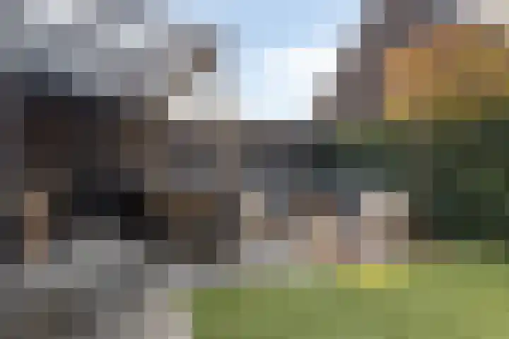 Grootschoterweg 38 Budel-Schoot thumbnail 29