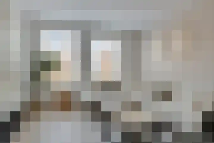 Grootschoterweg 38 Budel-Schoot thumbnail 4