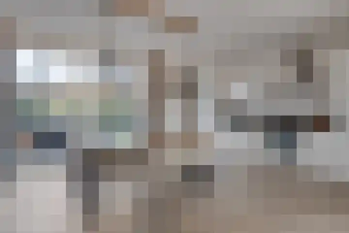 Grootschoterweg 38 Budel-Schoot thumbnail 7