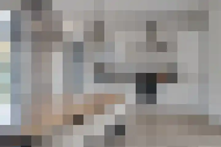 Grootschoterweg 38 Budel-Schoot thumbnail 8