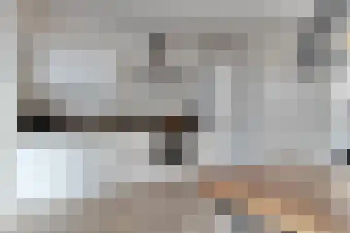Grootschoterweg 38 Budel-Schoot thumbnail 9