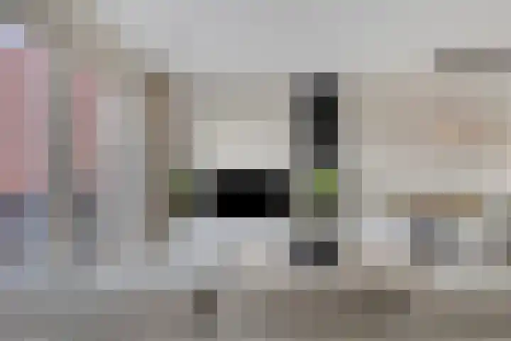 Grootschoterweg 92 b Budel-Schoot thumbnail 4
